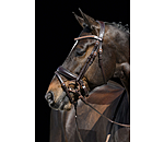 Crank Flash Bridle Rose