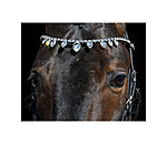 Mix & Match PRO Browband Starlight