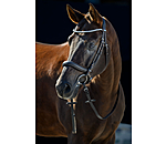 Bridle Anatomical Innovation & Crystals