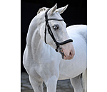 Cavesson Bridle Vienna Soft