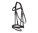 Flash Bridle Stitch