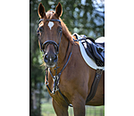 Flash Bridle Stitch