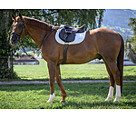 Flash Bridle Stitch