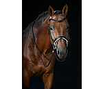 Crank Flash Bridle Glossy Vernon