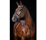 Crank Flash Bridle Glossy Vernon