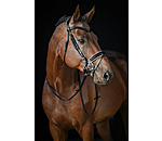 Crank Flash Bridle Glossy Vernon