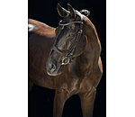Cavesson Bridle Comfort Space