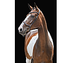 Cavesson Bridle Comfort Space