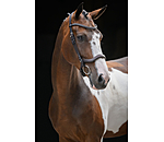 Cavesson Bridle Comfort Space