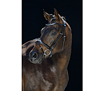 Bridle Classy Comfort