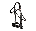 Double Bridle Dressage