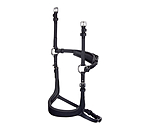 Mix & Match Oiled Leather Noseband Revolution