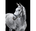 Mix & Match Oiled Leather Noseband Revolution