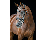 Flash Bridle Eloise