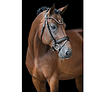 Flash Bridle Eloise