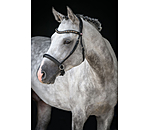 Mix & Match Oiled Leather Noseband Bitless