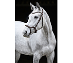Bridle Melbourne