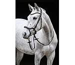 Bridle Melbourne