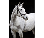 Bridle Melbourne