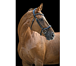 Bridle Melbourne