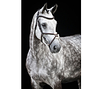 Grackle Bridle Diabolo