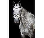 Grackle Bridle Diabolo