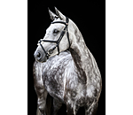 Grackle Bridle Diabolo