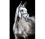 Grackle Bridle Diabolo