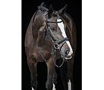 Flash Bridle Melodie