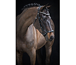 Drop Noseband Bridle Perfect Fit