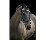 Bridle Berlin with Removable Flash Strap