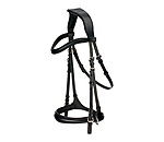 Bitless Bridle 5-in-1
