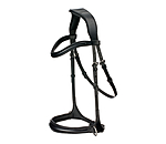 Bitless Bridle 5-in-1