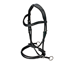Bitless Bridle 5-in-1