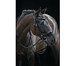 Bitless Bridle 5-in-1