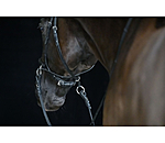 Bitless Bridle 5-in-1