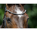 Browband Sparkle