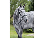 Cavesson Bridle Easy