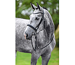 Cavesson Bridle Easy