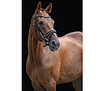 Flash Bridle Glamour