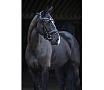 Flash Bridle Lucie