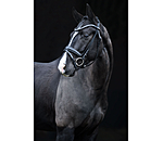 Flash Bridle Lucie