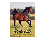 Horse Calendar 2026