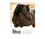 Horse Calendar 2024