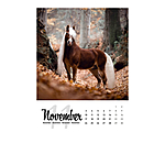 Horse Calendar 2024