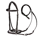 Bitless Bridle