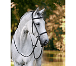 Bitless Bridle