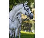 Bitless Bridle