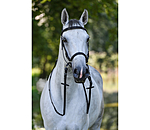 Bitless Bridle