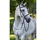 Bitless Bridle